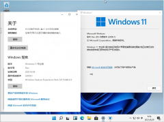 Windows11 Insider Preview 22000.51(CO_RELEASE)