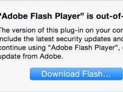 SafariйʱFlash Player