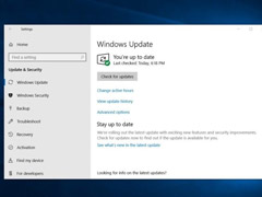 ΢Win10ʮ¸·Ԥ17763.165ۻ