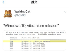 ش£ϳWin10 19H2ֻǷ