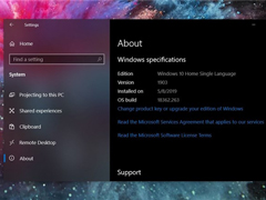 ϳ΢2019 Win10°18362.263