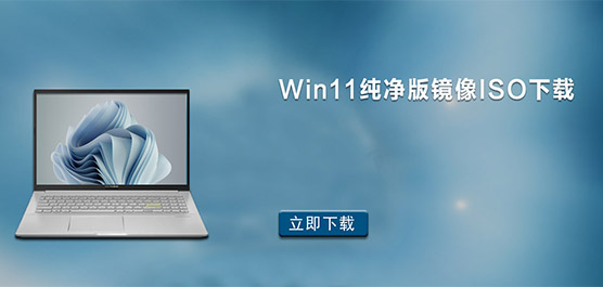 Win11�����澵��ISO����-Windows11����רҵ������