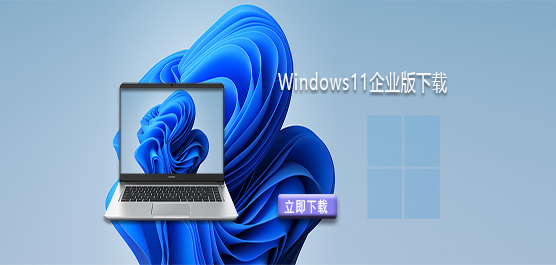 Windows11��ҵ�����ص�ַ-Win11��ҵ��ϵͳ����