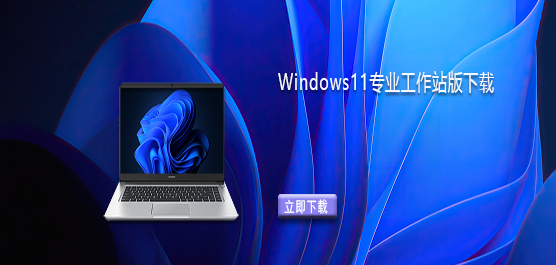 Windows11רҵ����վ������-Win11����վ��ϵͳ��������