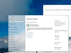 ΢Win10 V2004ʽع