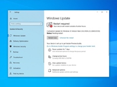 ΢win10ҵûPCнȡWindows UpdateֶƳٹ