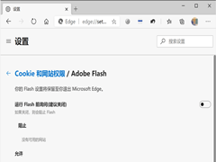 Win10ϵͳôɾFlash