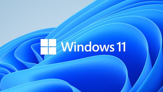 Win11ϵͳװ Win11װж