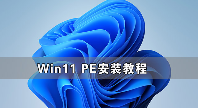 <b>Win11 PEװ̳ PEôװWindows11ϸ̳</b>