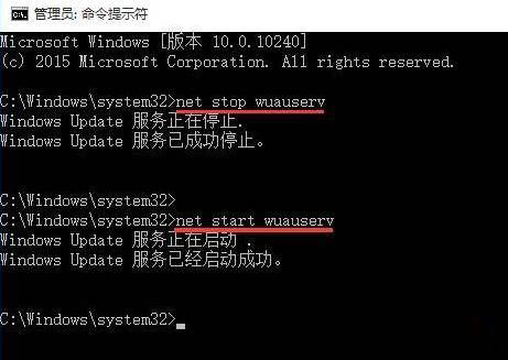 Win10ʾ0x80240016ô죿