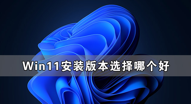 Win11װ汾ѡĸ ôѡWin11װ汾