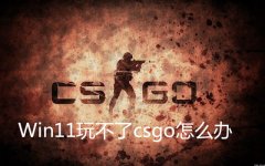Win11�治��csgo��ô�죿Win11�治��csgo�Ľ������