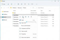 Win11������ô�������ص�AeroLite���⣿