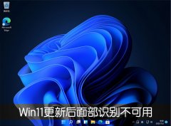 Win11����22000.100���沿ʶ�𲻿�����ô�죿