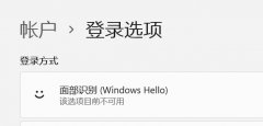 Win11����22000.100��Windows Hello��������ô�죿