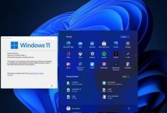 Բ֧DX12ܲװWin11