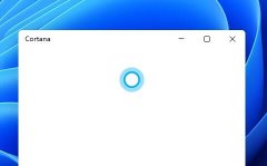 Win11С�ȿ�������������Win11С���Ƿ����������������