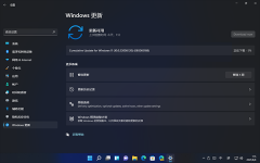 Win11 22000.120ʧ Win11 22000.120