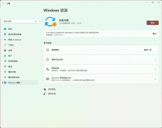 Win11��������KB5005190ʱ������װ������ʾ-0x80070246��ô�죿