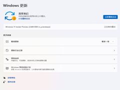 ��΢���߳�Devͨ����θ���Win11 22449.1000�汾��