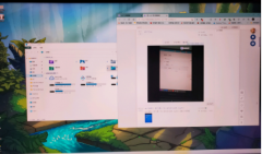 Win11���º����洰�ڹ������޷�����������ô�죿