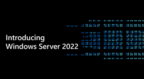 Windows Server 2022ʽˣصַ