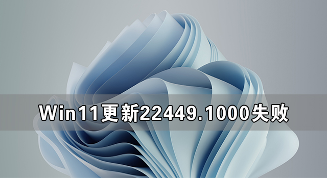 Win1122449.1000ʧ Win11 22449.1000°װʧܽ