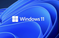 Win11����Ϸ��ʲô�汾�ȽϺã�Win11�ĸ��汾�ʺϴ���Ϸ��
