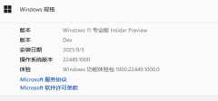 Windows11 22454�ղ�������ʾĳЩ�����ļ�û����ȷǩ����TPM��֤ͨ�����������