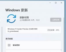 Win11����22449.1000�汾����49%��ô�죿