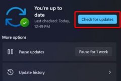 Win11���¿���0%��ô�죿Win11���¿���0%�������