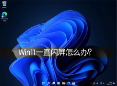 Win11һֱ������ô�죿Win11��Ļ��ͣ����˸��ô�죿