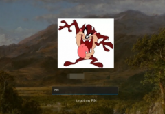 Win11�˻���̬ͷ����ô���ã�Win11�˻���̬ͷ�����ý̳�