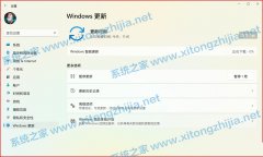 Win11 22000.194�������ؿ���0%��ô�죿