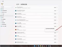 Win11жسжأWin11ϵͳǿж
