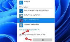 Win11��θ���Ĭ�ϴ򿪷�ʽ��Win11����Ĭ�ϴ򿪷�ʽ�ķ���