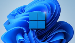 Win11��β鿴������Ŀ��Win11�鿴������Ŀ�ķ���