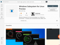 LinuxWindowsϵͳ(WSL)ʽϼWin11΢Ӧ̵꣡