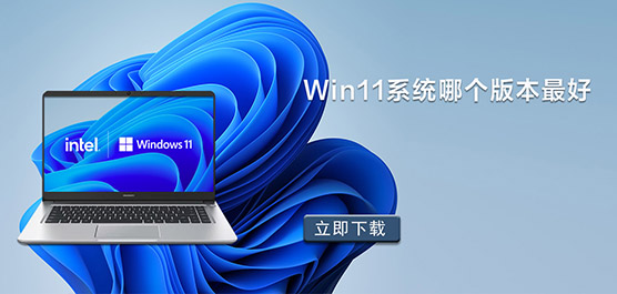 Win11 ϵͳ�ĸ��汾���-������ȫ�� Win11 �汾����