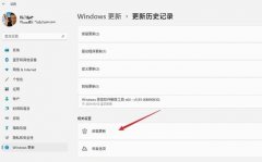 Win11��ôж���Ѱ�װ���£�����ж���Ѱ�װ����