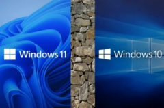 ������µ�Win11��΢���ٷ�������ֹ����Win11ϵͳ����