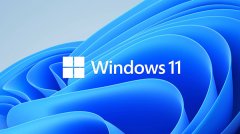 Win11��D���޷���ʾ��ô�죿Win11D���޷���ʾ�Ľ������