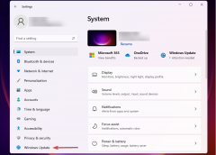 Win11�����ٶ�����ô�죿Win11�����ٶ����Ľ������