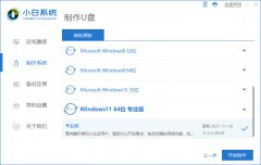 �����޷�����Win11��ô�������飿