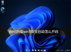 ����win11��ȫ������ô����������������԰�ȫ������������