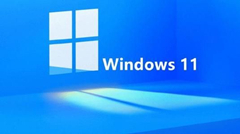 Win11��������֤����������ô�죿Win11��������֤�������ڵĽ������