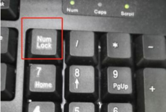 Win11��ݼ�ʧЧ��ô��-Win11��ݼ�ʧЧ�Ľ������