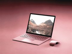 Win11ȫ淨ֽ飡