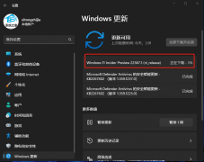 ΢Win11 22567.1(ni_release)Ԥ淢()