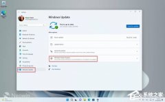 Win11 Dev�������Ի���Beta�𣿴�Dev�����л���Beta������ϸ�̳�